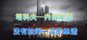 逃离塔科夫-内部单板透视-稳定大号