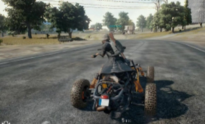 PUBG-绝地求生-凤舞（原火凤）辅助官网-透视自瞄