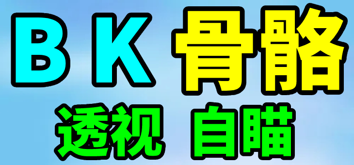 PUBG-绝地求生-BK-稳定透视自瞄
