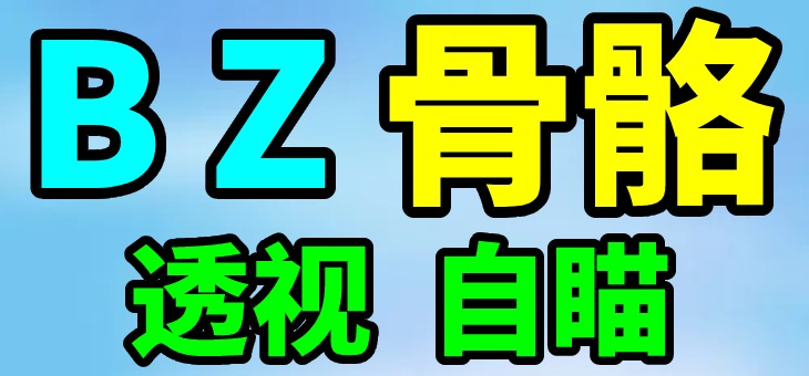 PUBG 绝地求生 BZ 骨骼透视 预判自瞄