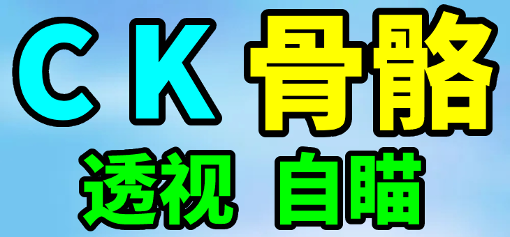 PUBG 绝地求生 CK 透视自瞄