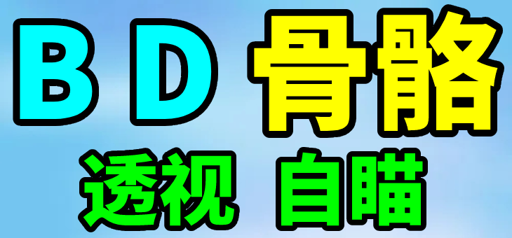 PUBG 绝地求生 BD 透视自瞄