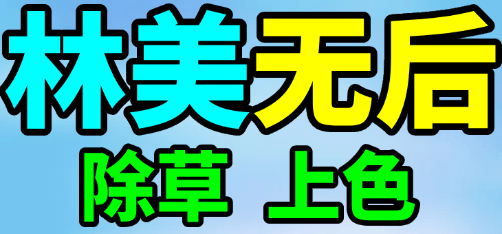 PUBG 绝地求生 林美无后