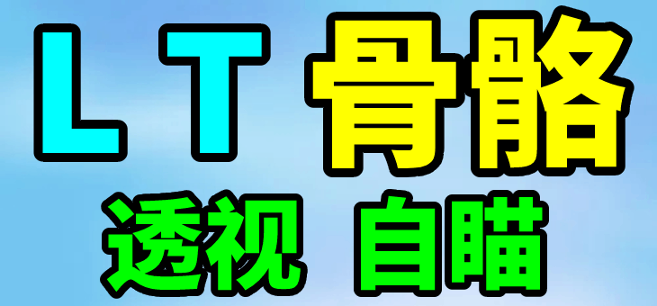 PUBG LT 透视自瞄